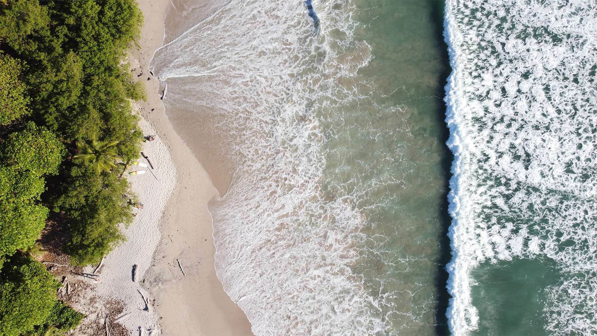 Your 2025 Guide: Step-by-Step to Buying Property in Santa Teresa, Costa Rica
