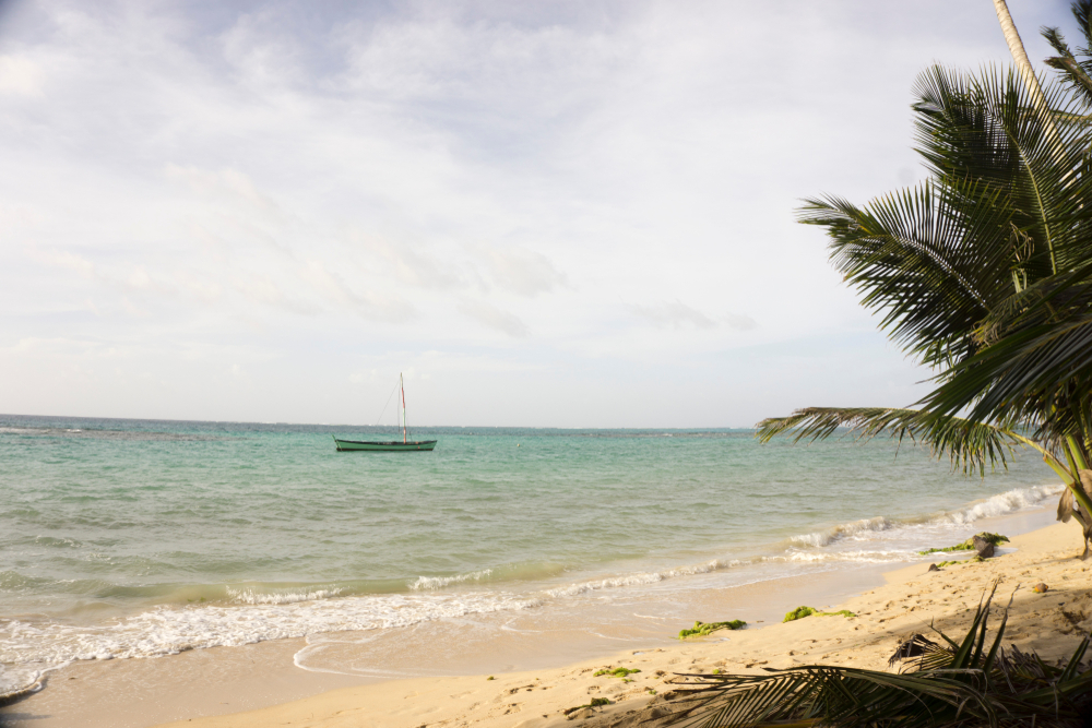 2025 Market Outlook: Costa Rica Beachfront Property Market Trends You Need to Know