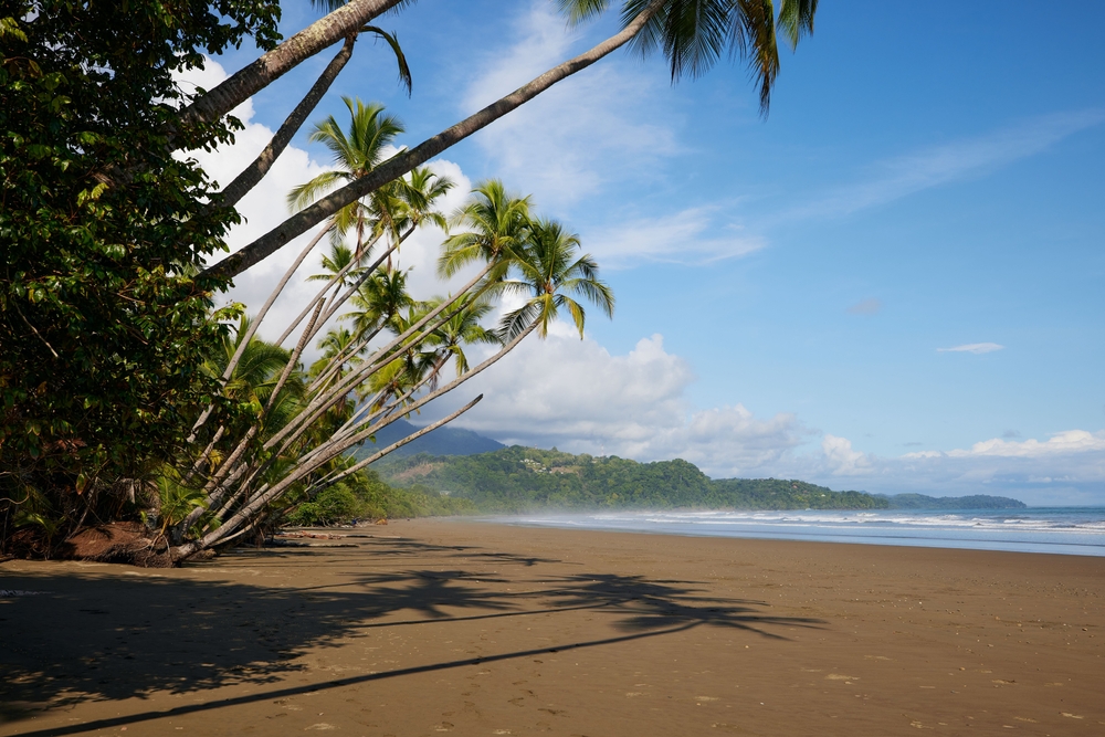 Everything You Need to Know Before Buying Land in Costa Rica (2025)