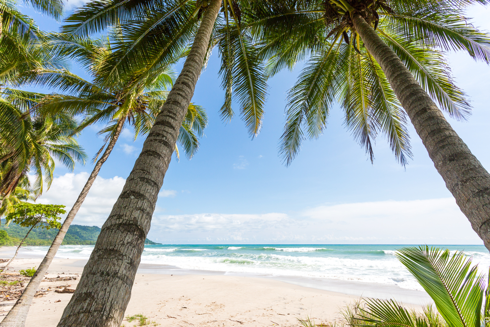 Why Santa Teresa Beach is a Prime Real Estate Investment Hotspot in 2025